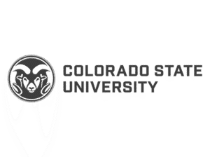 client-Colorado-State-University-776x580-Gray.png