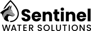 sentinel-logo-black.png